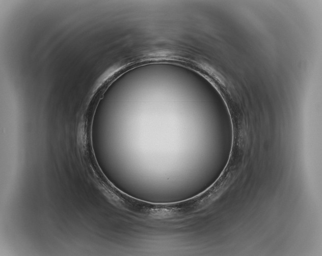 X0000116431458200912081514