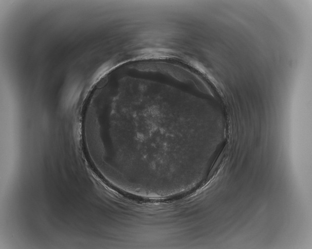 X0000116431459200912081514