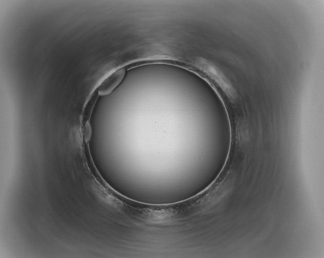 X0000116431460200912081514