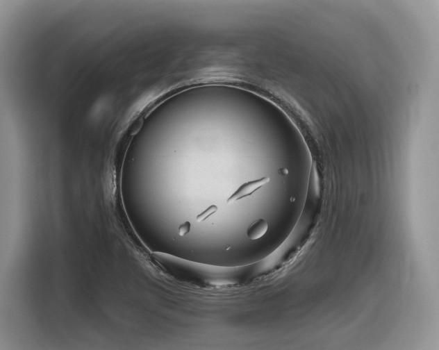 X0000116431461200912081514