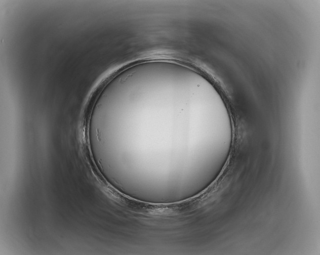 X0000116431462200912081514