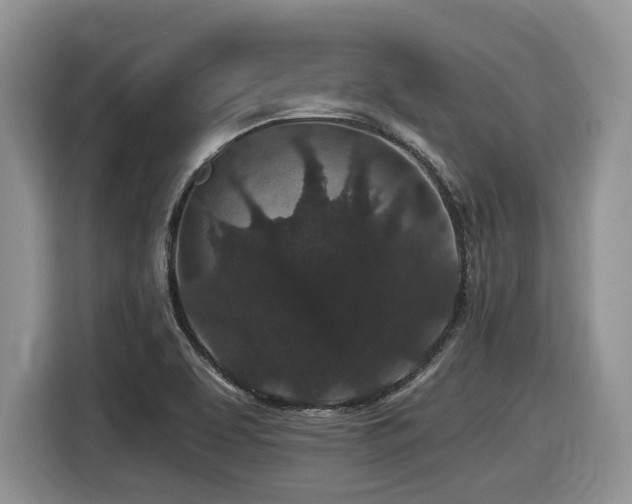 X0000116431463200912081514