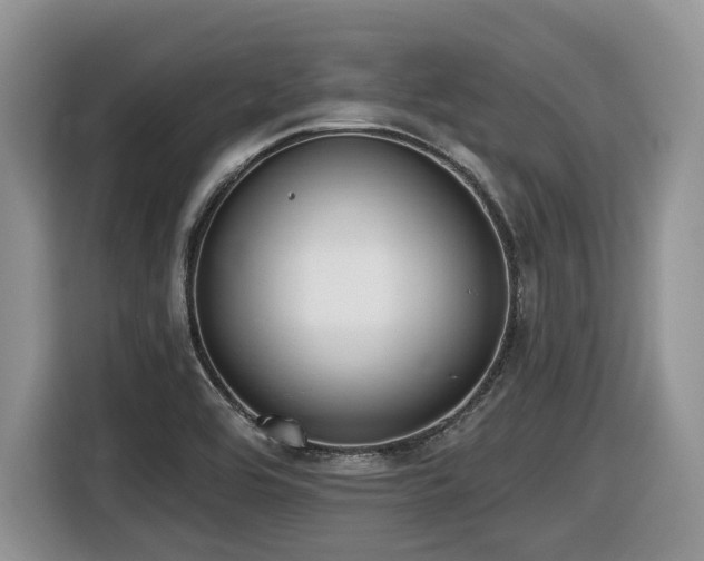 X0000116431464200912081514