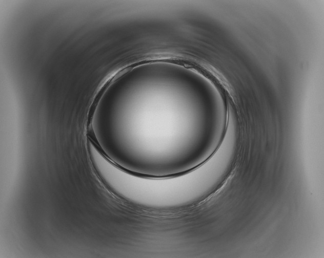 X0000116431465200912081514