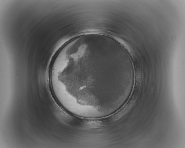 X0000116431466200912081514