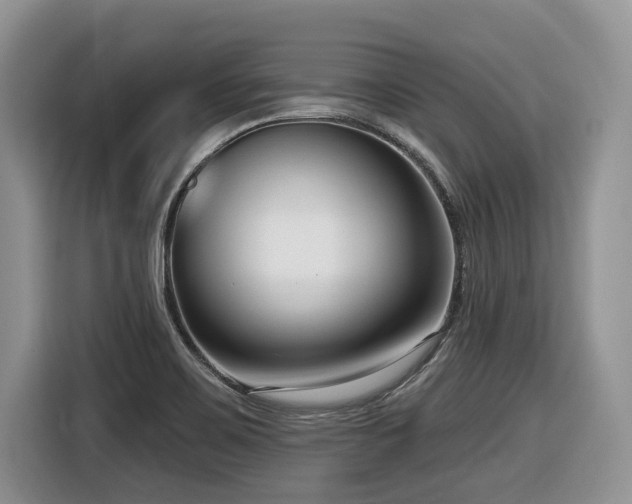 X0000116431467200912081514