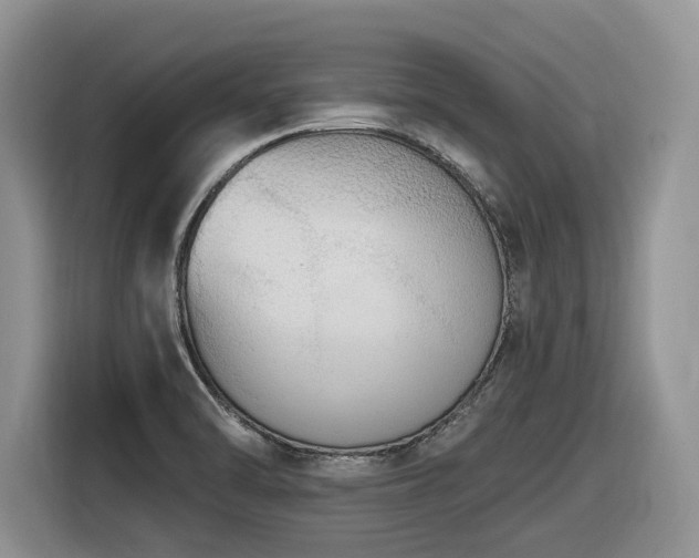 X0000116431470200912081514