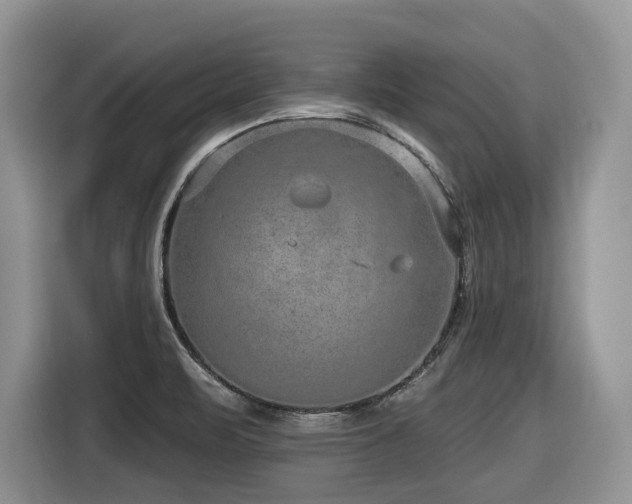 X0000116431471200912081514