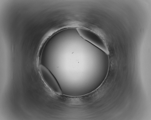 X0000116431472200912081514