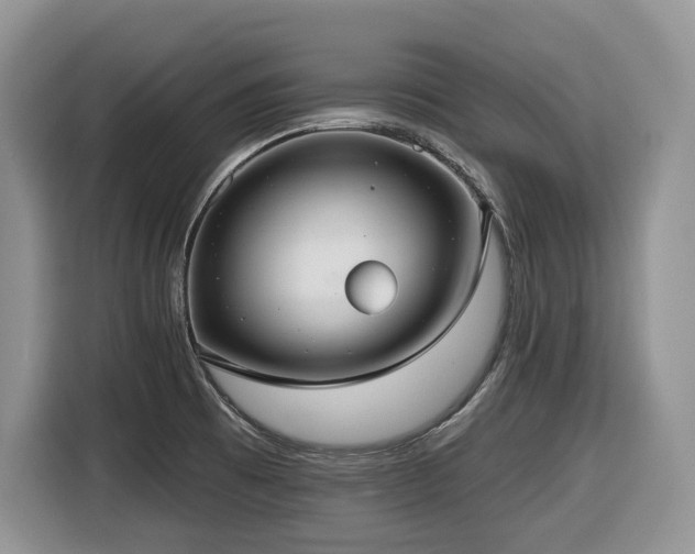 X0000116431473200912081514
