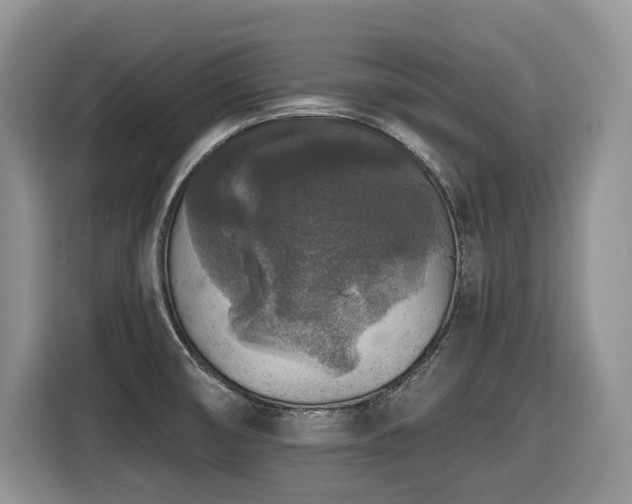X0000116431474200912081514