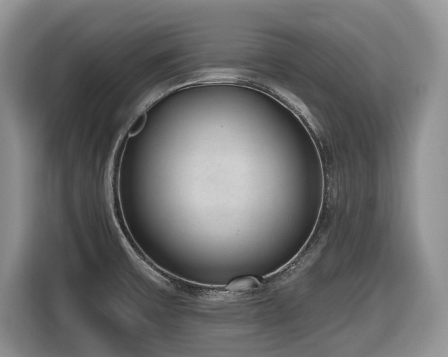 X0000116431475200912081514