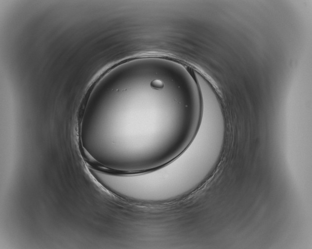 X0000116431476200912081514