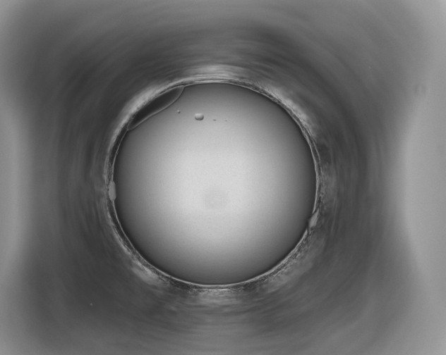 X0000116431477200912081514