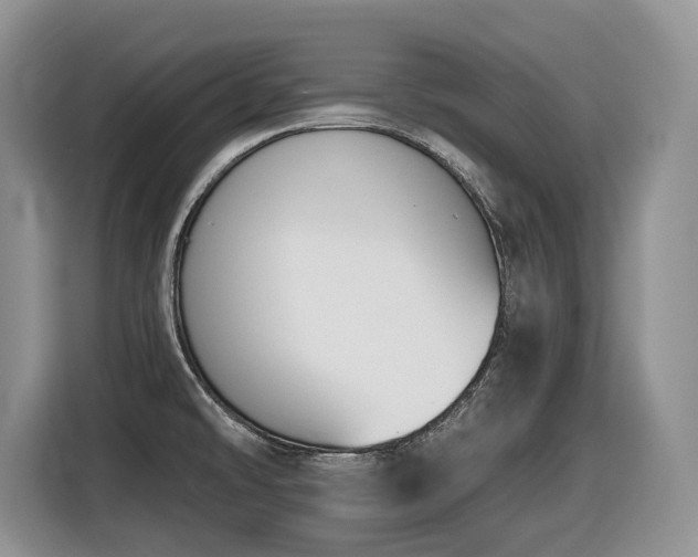 X0000116431478200912081514