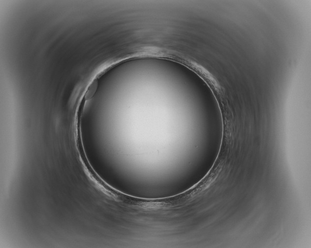 X0000116431479200912081514