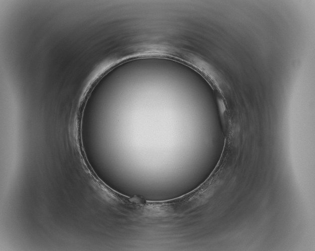 X0000116431480200912081514