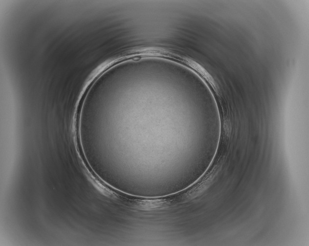 X0000116431482200912081514