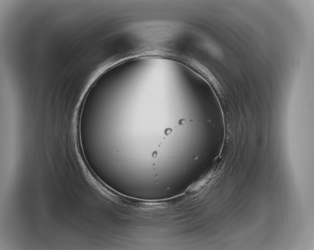 X0000116431483200912081514