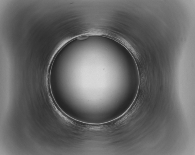 X0000116431484200912081514