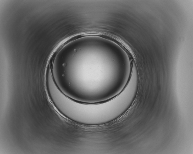 X0000116431485200912081514