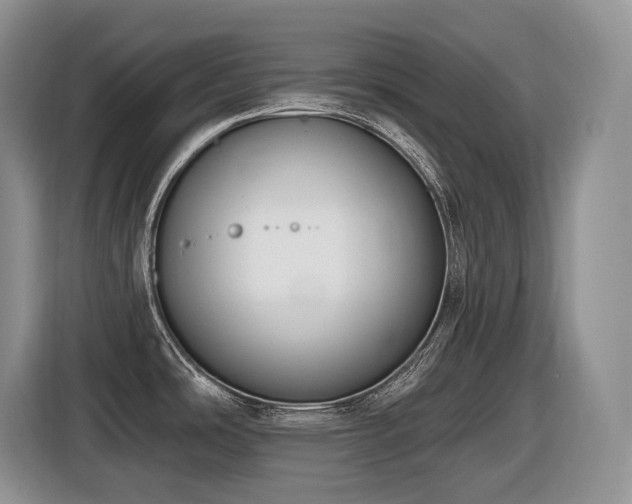 X0000116431486200912081514
