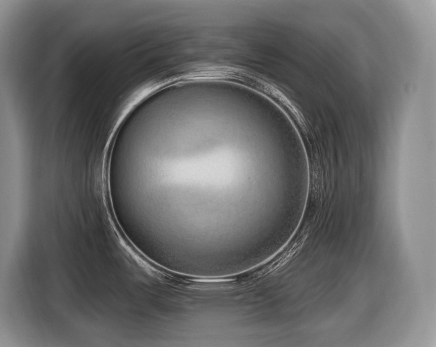 X0000116431487200912081514
