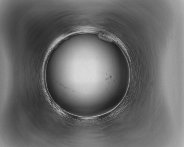 X0000116431488200912081514