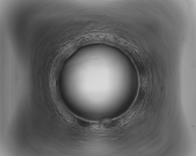 X0000116431489200912081513