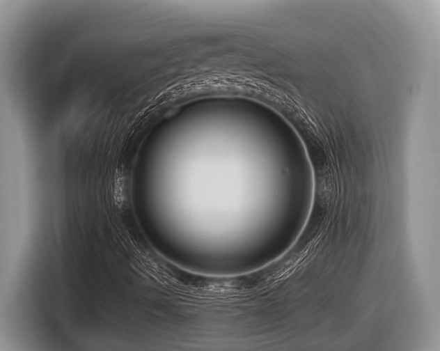 X0000116431490200912081513
