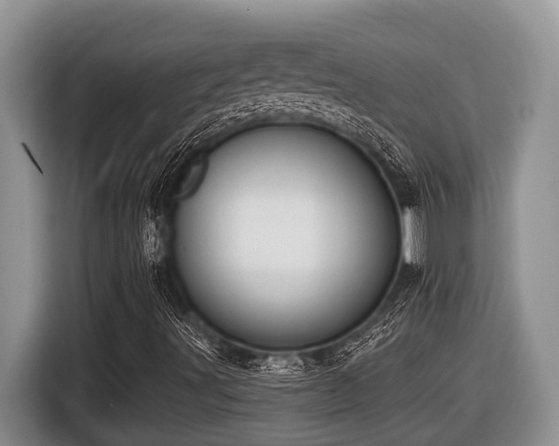 X0000116431491200912081513