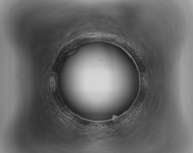 X0000116431493200912081513