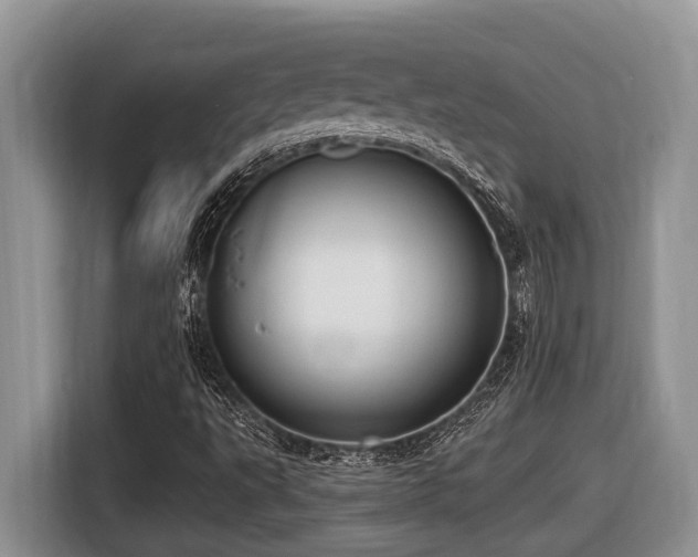 X0000116431495200912081513
