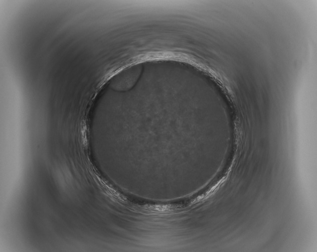X0000116431497200912081513