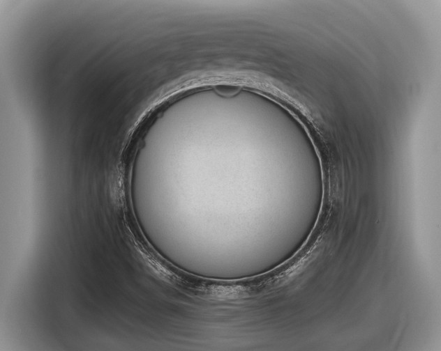 X0000116431498200912081513