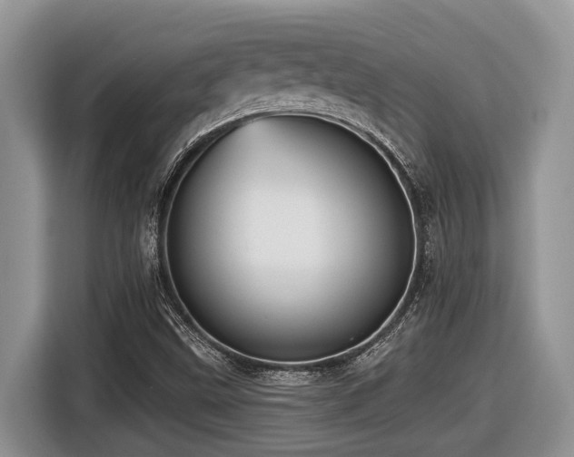 X0000116431499200912081513