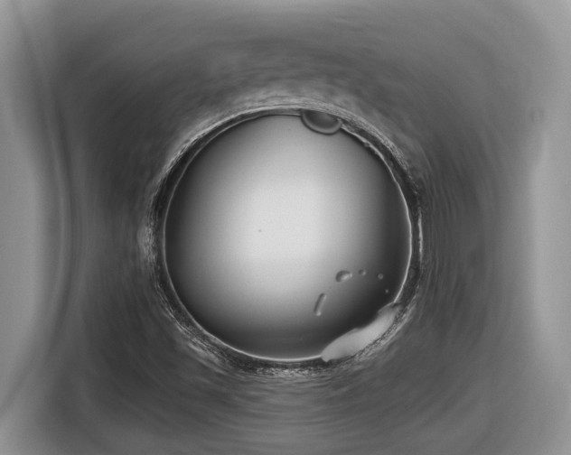 X0000116431501200912081513