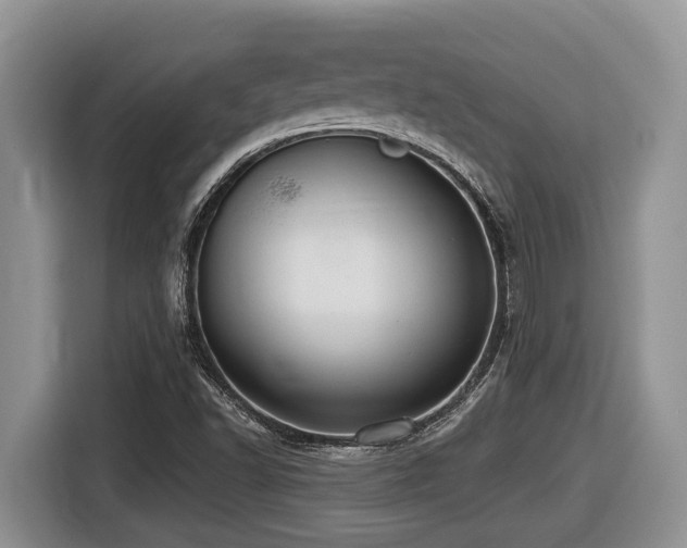 X0000116431502200912081513