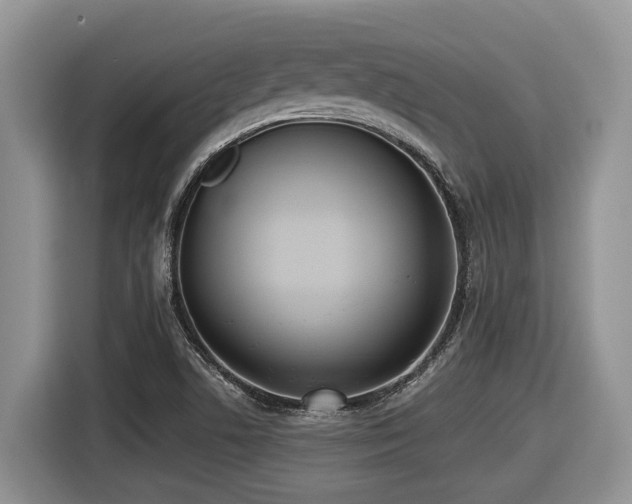 X0000116431506200912081513