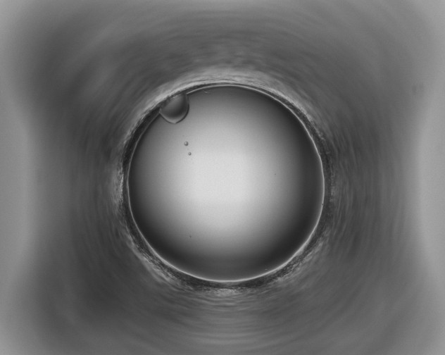 X0000116431507200912081513