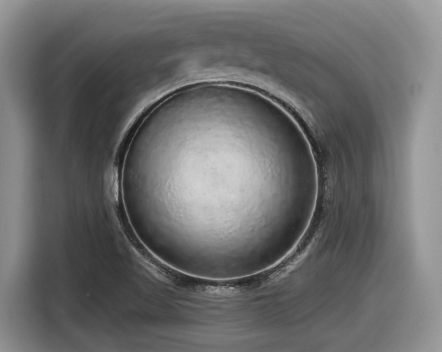 X0000116431509200912081514