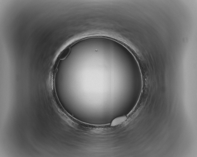 X0000116431510200912081514