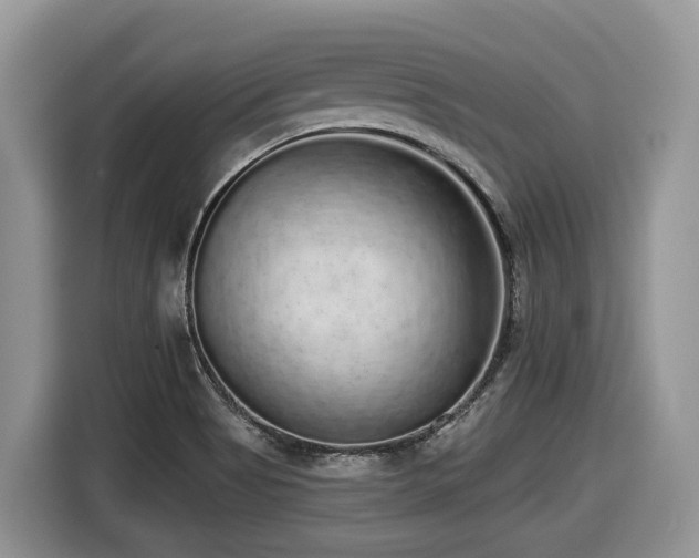 X0000116431513200912081514