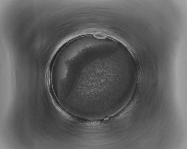 X0000116431515200912081514
