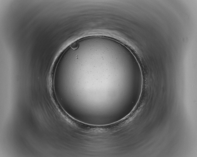 X0000116431517200912081514
