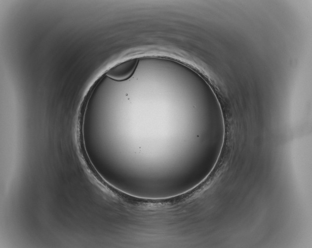X0000116431518200912081514