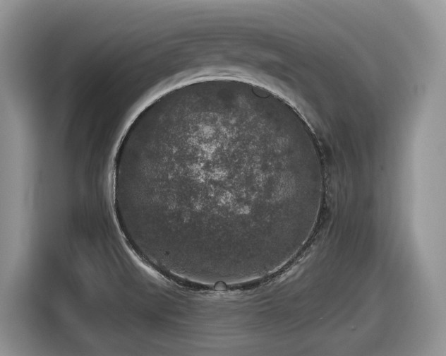 X0000116431519200912081514