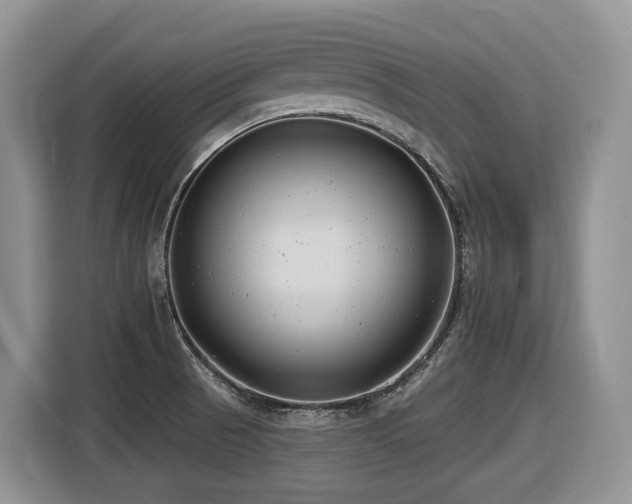 X0000116431521200912081514