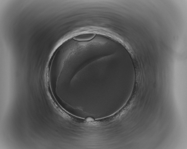 X0000116431522200912081514