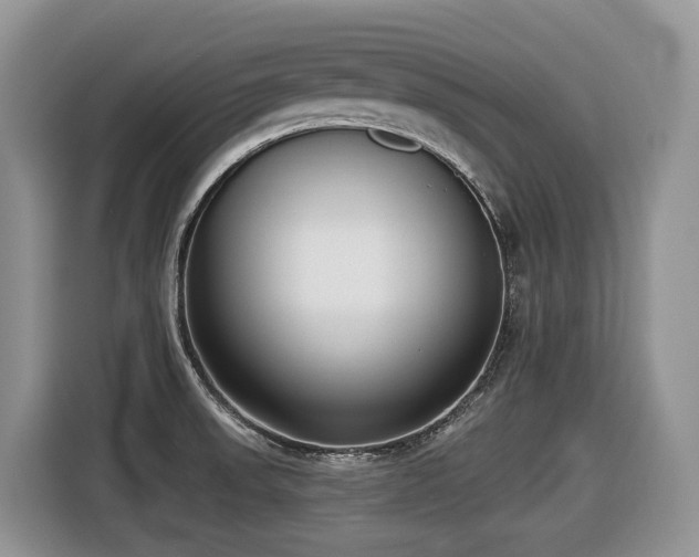 X0000116431523200912081514